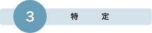 特定
