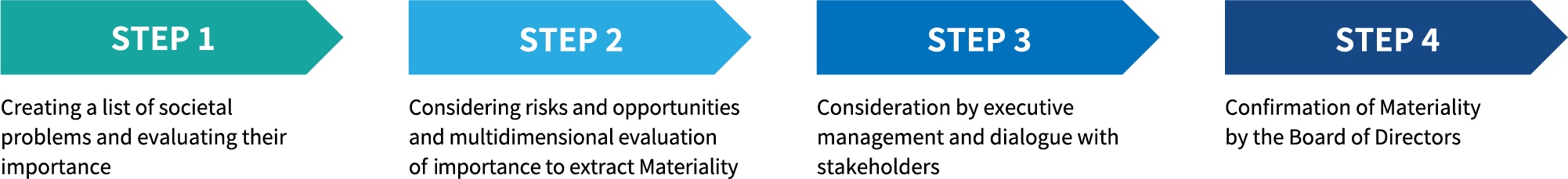 Materiality identification process